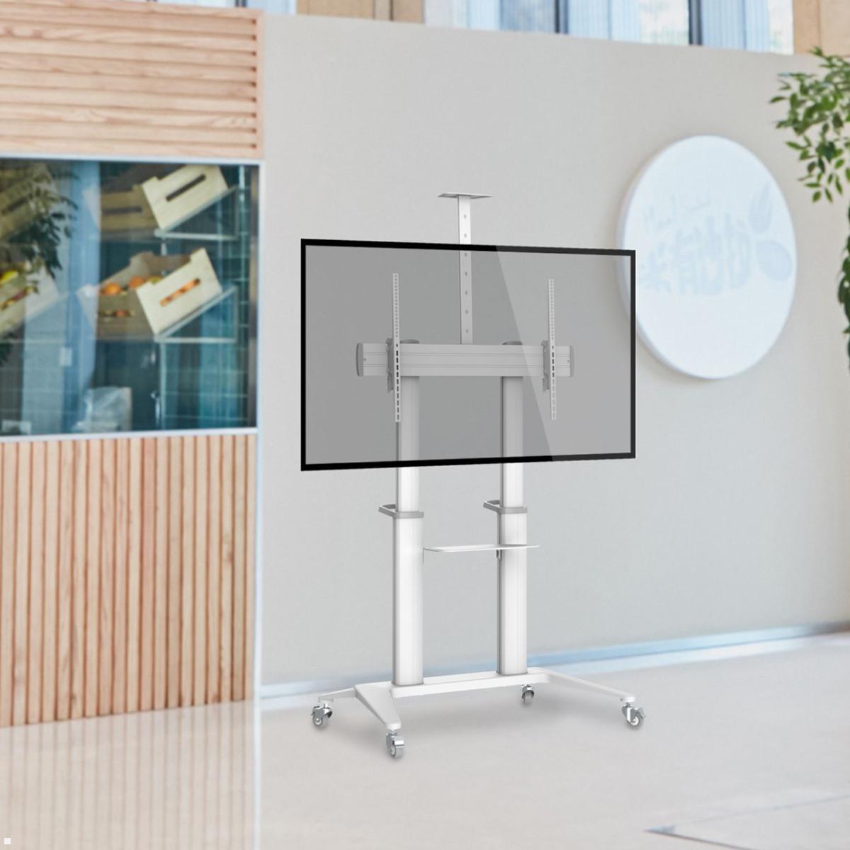 PureMounts PDS-0013C TV Ständer mit Rollen bis 120 Zoll, Anwendungsbeispiel