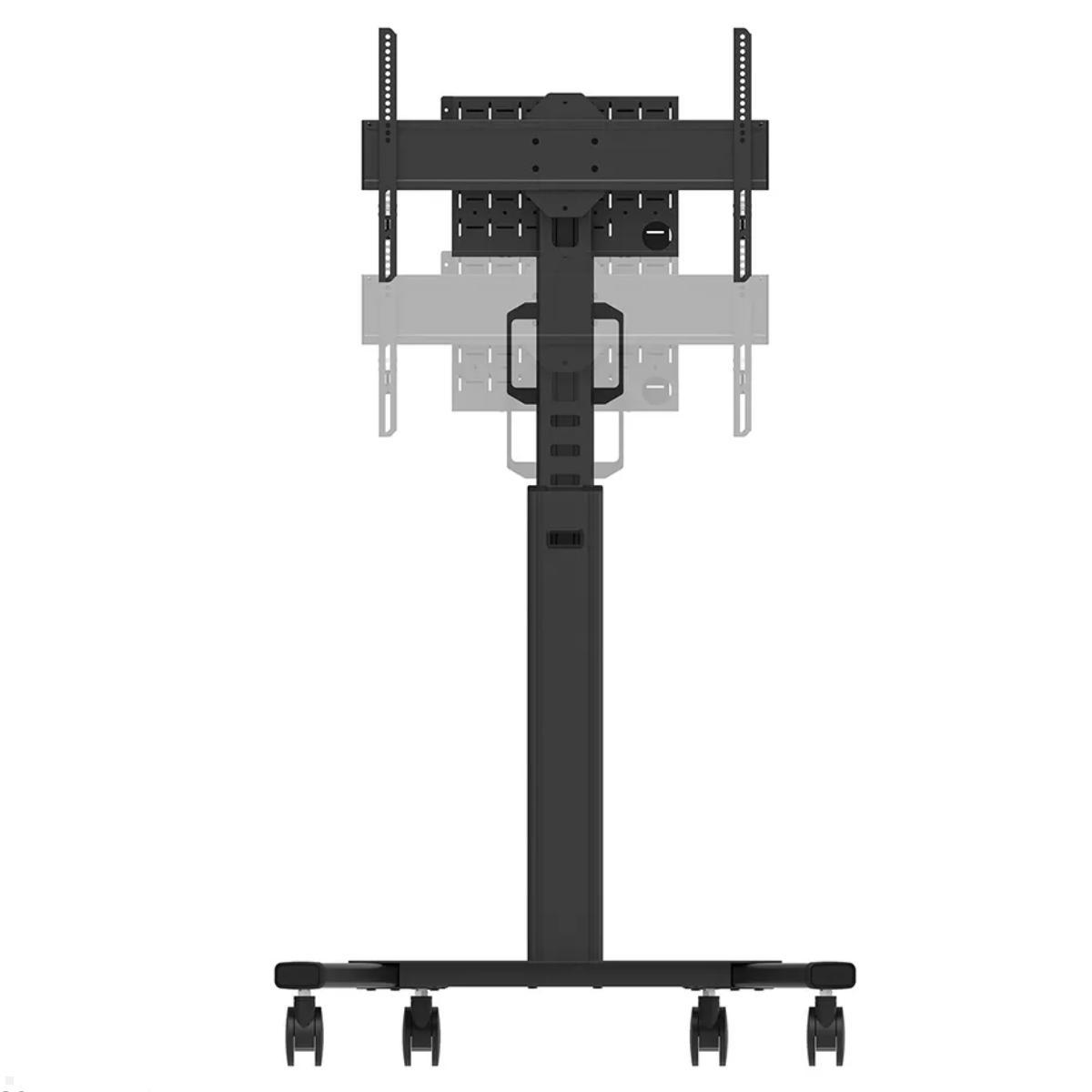 Neomounts FL50S-825BL1 mobiler Bodenständer für 37-75 Zoll Bildschirme, Höhenverstellbar