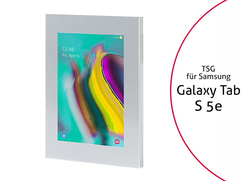 TabLines TSG070S Tablet Schutzgehäuse für Samsung Tab S5e, silber