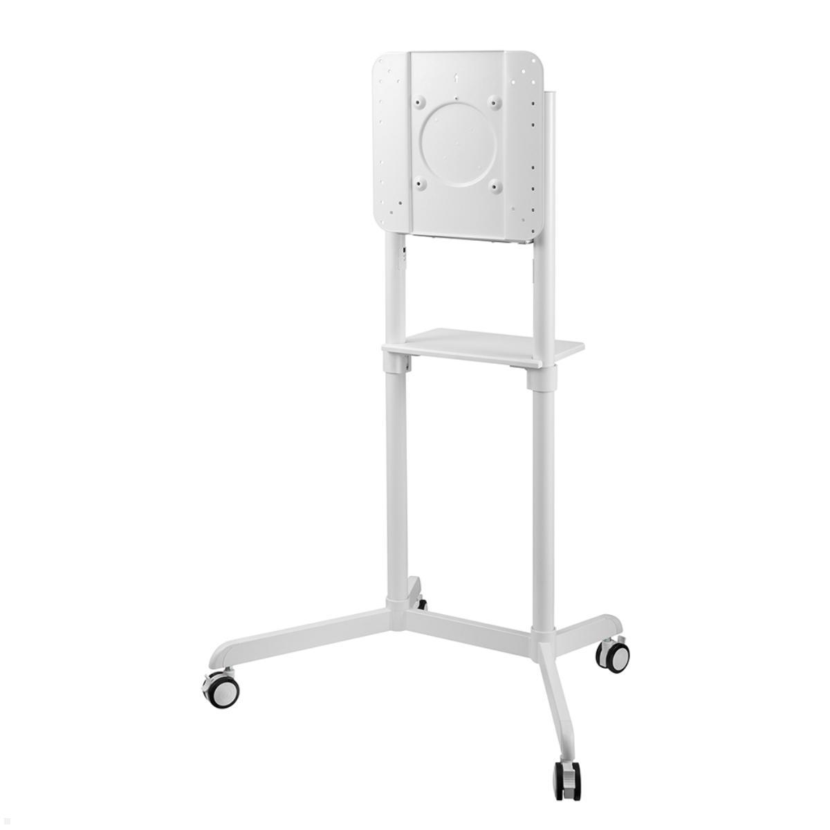 Neomounts NS-M1250WHITE Monitorständer mit Rollen bis 70 Zoll, weiß, Front schräg