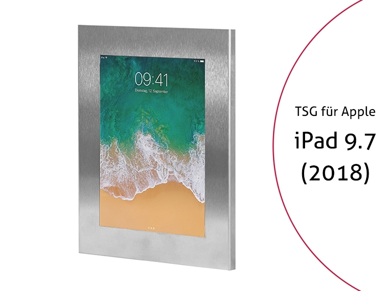 TabLines TSG054E Tablet Schutzgehäuse für Apple iPad 9.7 (2018), Edelstahl